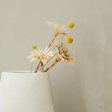 【30%OFF】ドライフラワー 01