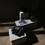 101 COPENHAGEN 【日本代理店】デンマークデザイン Bloom Tray Medio Black - 北欧家具 北欧インテリア通販サイト greeniche (グリニッチ)