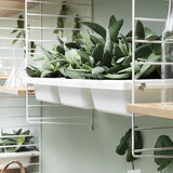 【日本代理店】String スウェーデン製 シェルフシステム サイドフレーム75×30 (2枚組)