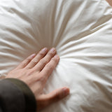 フェザークッション(本体) 45cm×45cm