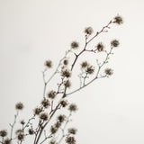 ドライフラワー ブーケ 007 - 北欧家具 北欧インテリア通販サイト greeniche (グリニッチ)