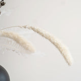 ドライフラワー ブーケ 007 - 北欧家具 北欧インテリア通販サイト greeniche (グリニッチ)