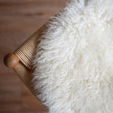 WOOL シートクッション ウォークアバウト