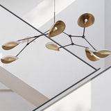 101 COPENHAGEN【日本代理店】デンマークデザイン Stingray Chandelier - Brass