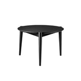 FDBモブラー 【日本代理店】デンマークデザイン D102 (φ550) ブラック