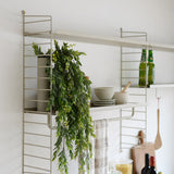 【日本代理店】String スウェーデン製 シェルフオプション メタル棚板用 レール (L)