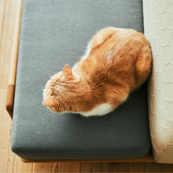 Luu Sofa cat life model【minä perhonen】 | オーク/ウォルナット無垢材