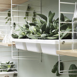 【日本代理店】String スウェーデン製 System ボウルシェルフ