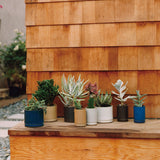 HASAMI PORCELAIN プランター φ85×h106