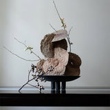 101 COPENHAGEN 【日本代理店】デンマークデザイン Duck Plate mini Coffee