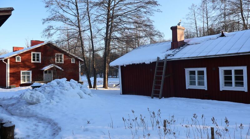 フィンランドの「モッキ文化」 — 心を整える時間｜北欧インテリア通販サイト greeniche（グリニッチ）