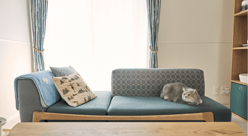 猫との暮らしを楽しむ空間（東京）｜北欧インテリア通販サイト greeniche（グリニッチ）