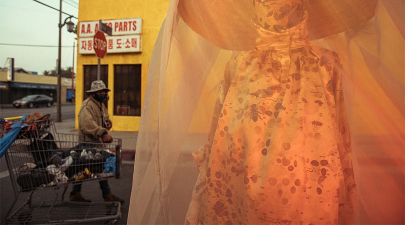 100億人と自然が調和して生きるには？ <br>SFから考える未来の都市の姿。｜北欧インテリア通販サイト greeniche（グリニッチ）