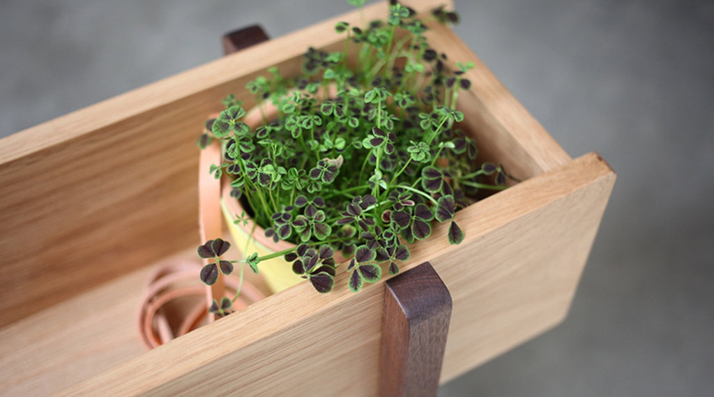 プランター　マガジンラック　グリニッチ　greeniche プランター マガジンラック グリニッチ greeniche