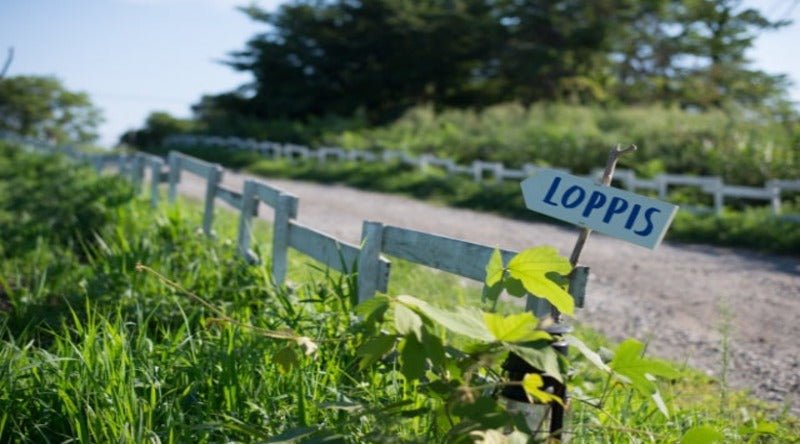 北欧のフリーマーケット「ロッピス」に学ぶ、持続可能な暮らしの知恵｜北欧インテリア通販サイト greeniche（グリニッチ）