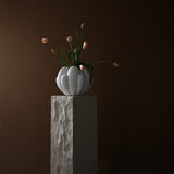 101 COPENHAGEN 【日本代理店】デンマークデザイン Podium Maxi Limestone