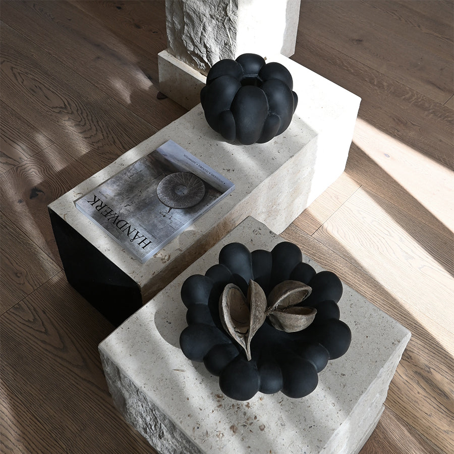 デンマークの図書館で購入！北欧キノコトレイFLORA 1761-1883 デンマークの図書館で購入！北欧キノコトレイFLORA 1761-1883