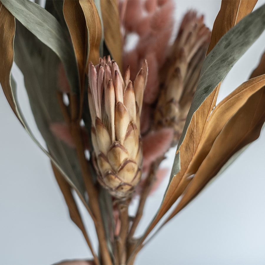 dry-flower-004_013_900x.jpg?v=