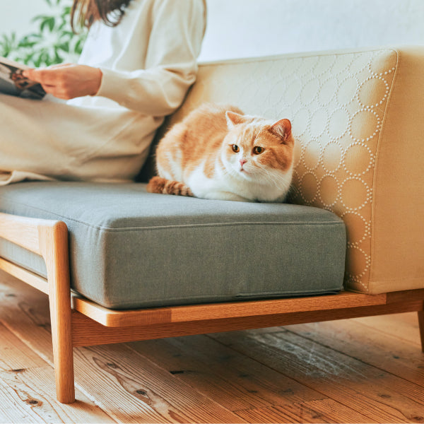 Luu Sofa cat life model【minä perhonen】 | オーク/ウォルナット無垢